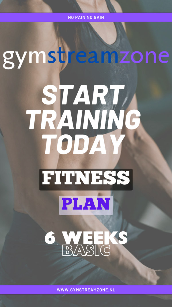 Online Fitnessplan 6 weeks Basic